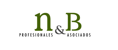 N&B PROFESIONALES ASOCIADOS